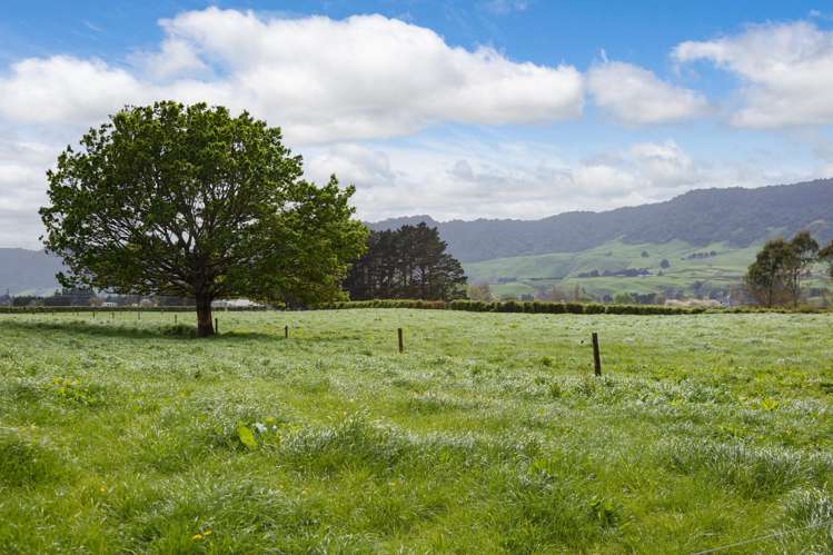 334 Okauia Springs Road Okauia_15