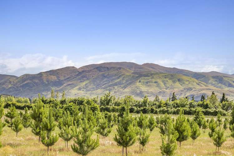 42D Gladsmuir Road Queensberry_9