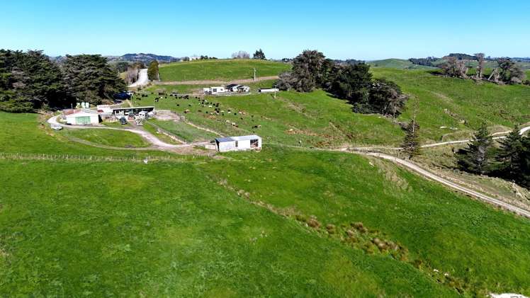 115 Biddle Road Wellsford_19