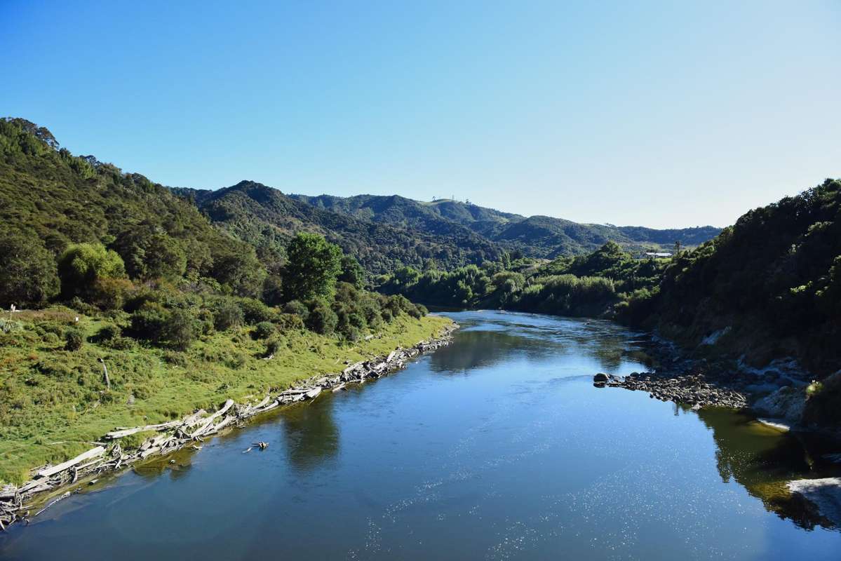 3081 Whanganui River Road_2
