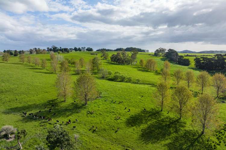 52 Gillon Road Matakohe_0