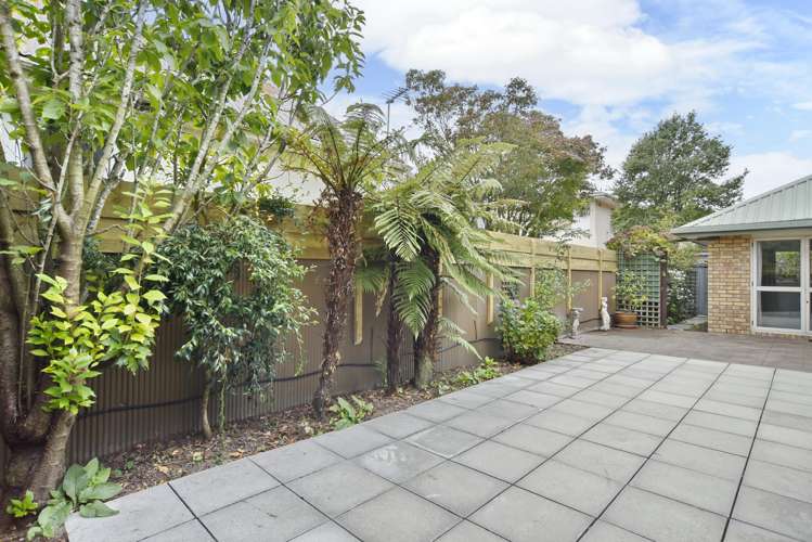 7 Fisher Avenue Sydenham_14