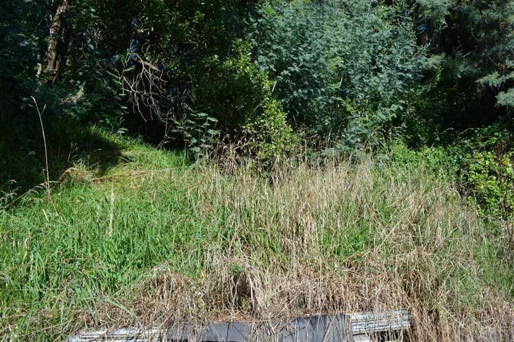 84 Rue Balguerie Akaroa_4