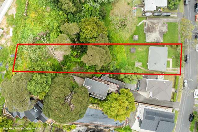 Zoned for Success - DGZ & Mixed Housing Suburban