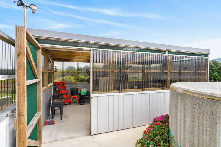 2008D Cove Road Mangawhai_20
