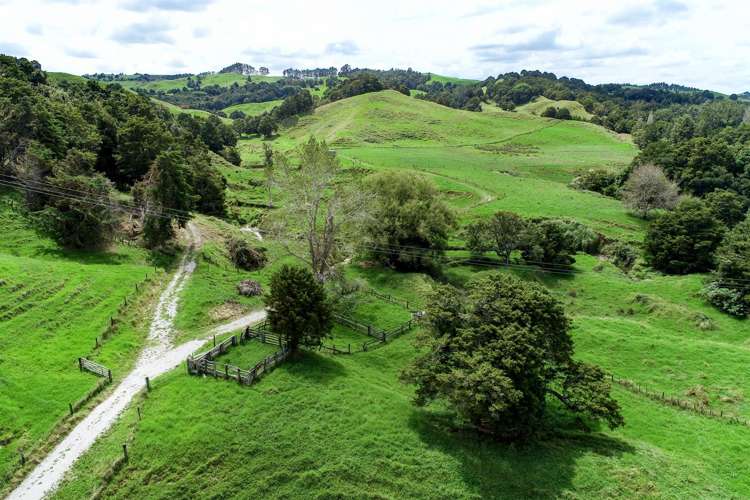 83 Paparoa Station Road Paparoa_5