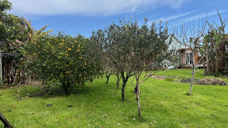 37 Nikau Road, State Highway 67 Hector_16