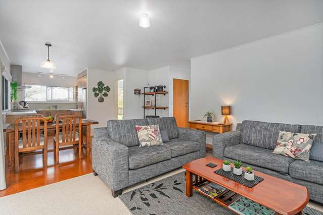 29 Oyster Drive Cooks Beach_4