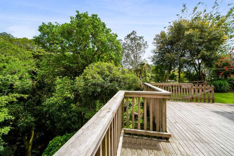 44 Carrington Street Lower Vogeltown_12