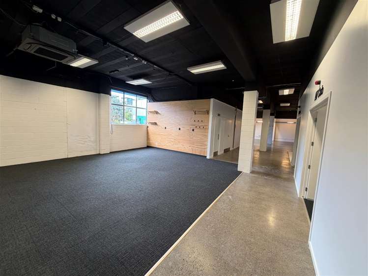 37 Crummer Road Grey Lynn_9