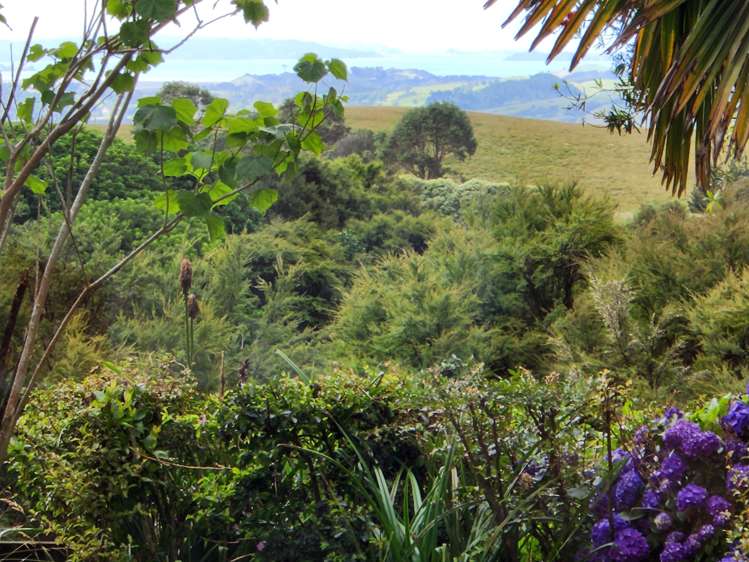 401 Creightons Road Clevedon_33