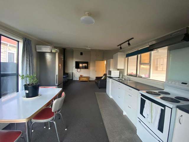 13 Kirkcaldy Street South Dunedin_4