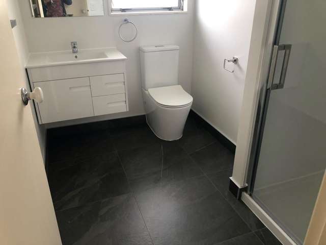 8A Don Buck Road Massey_1