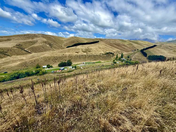 Diggers Gully Road Kurow_28