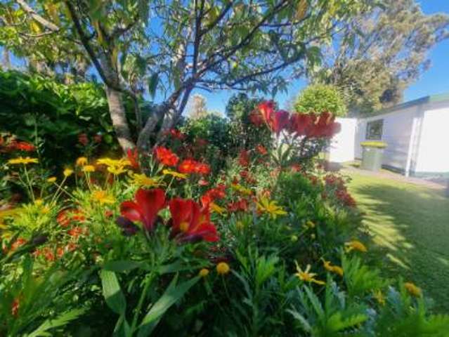 1/50a Alexander Avenue Whakatane_4