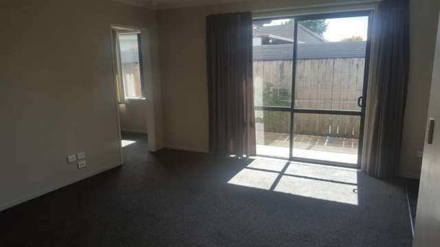 191C Massey Street Frankton_1