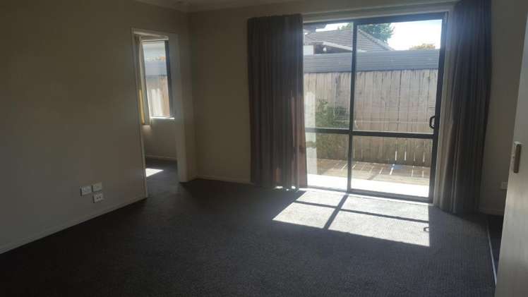 191C Massey Street Frankton_1