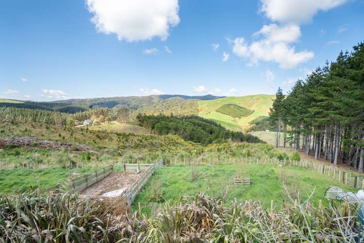 265 Ngahere Park Road Turitea_22