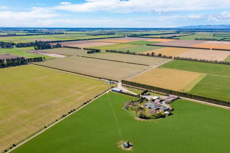 684 Telegraph Road Selwyn_0