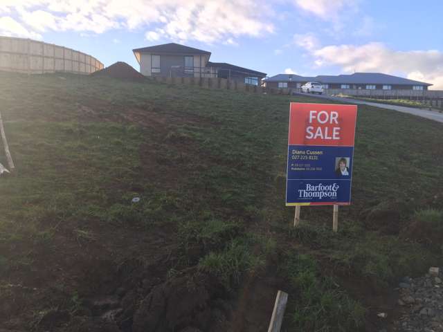 77 Valley Road Pukekohe_2