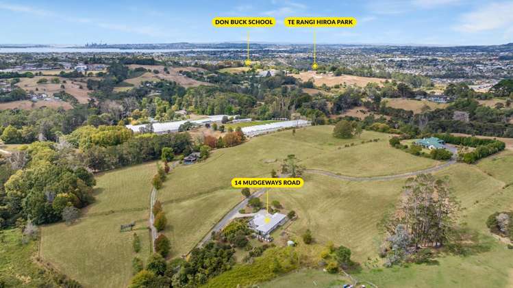 18 Mudgeways Road Massey_25