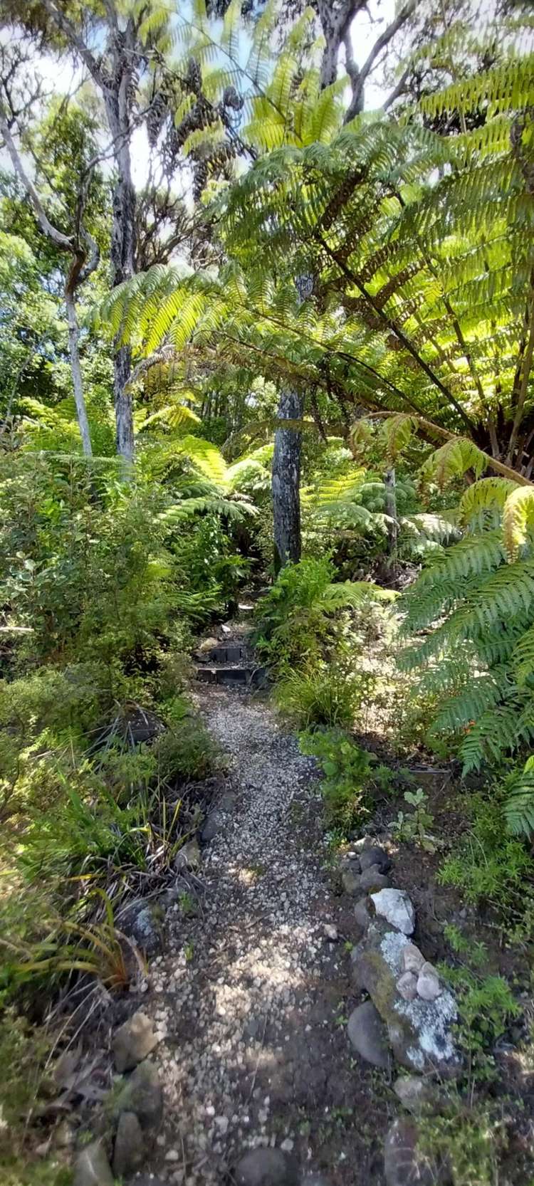 525A Tuateawa Road Tuateawa_9