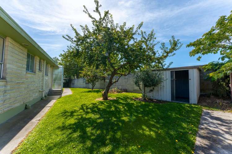 31a Cook Street Oceanview_4