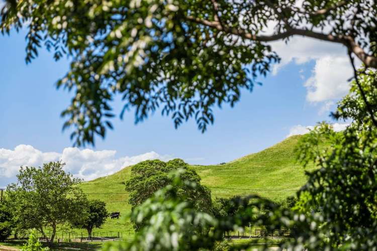 115 Esperance Road Glendowie_12