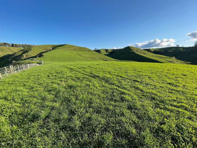 200 Owaikura Road Otorohanga_5