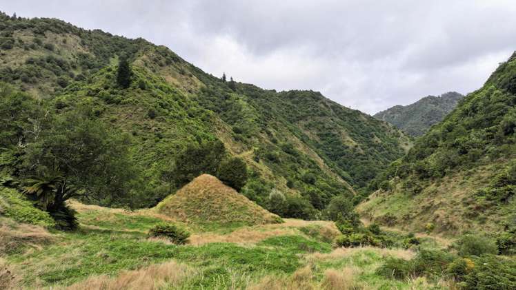 7957 State Highway 2 Opotiki Surrounds_5