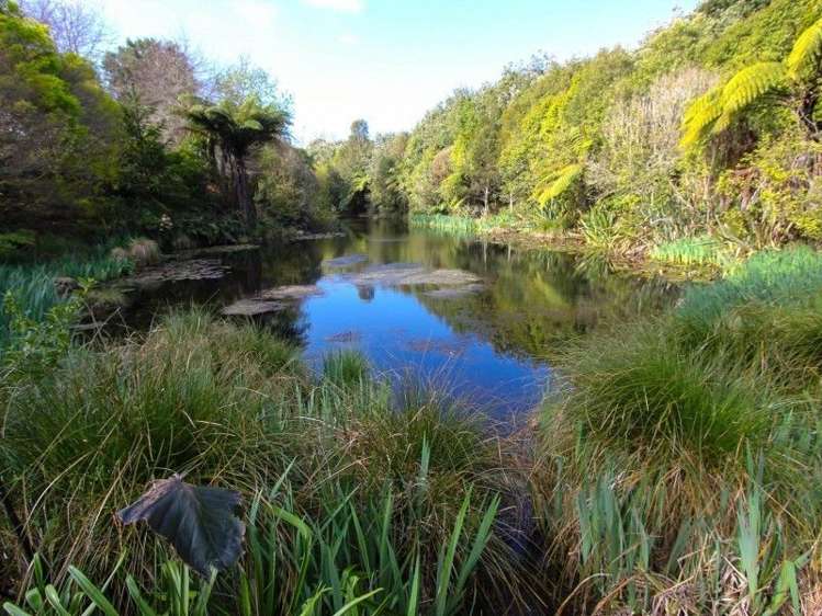 44 Simpson Road Westmere_8