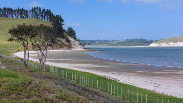 140 Beatson Road Whakapirau_2