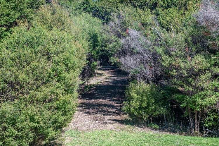 143 Cowes Bay Road Waiheke Island_9
