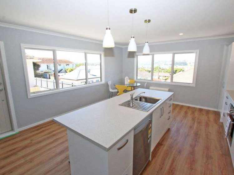 3a Waiho Terrace Elsdon_5