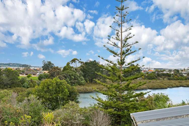 134 Ennis Avenue Pakuranga Heights_7