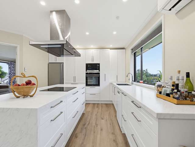 39A Max Short Drive Pukekohe_3