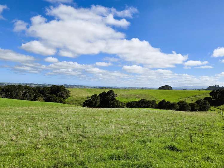 6320 State Highway 12 Dargaville_16
