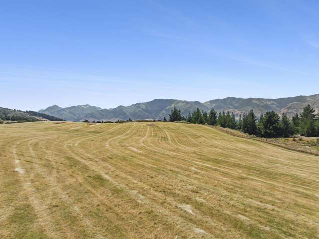 Lot 3, 965 Lake Hawea - Albert Town Road Lake Hawea_3