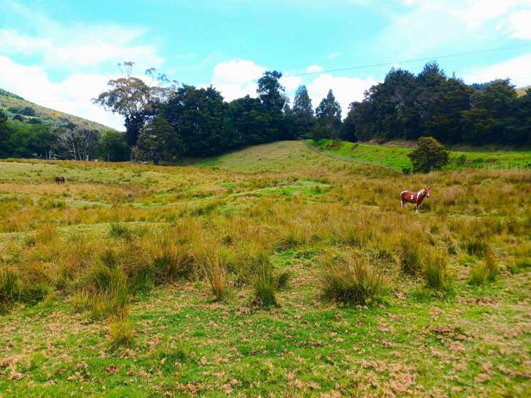 153 Champion Road Kaingaroa_19