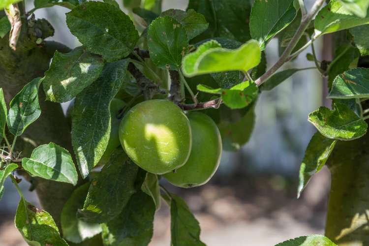 730 Christchurch Akaroa Road Tai Tapu_22