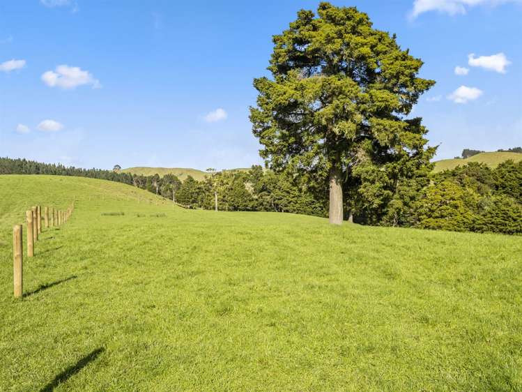 216 Haruru Road Kaukapakapa_21