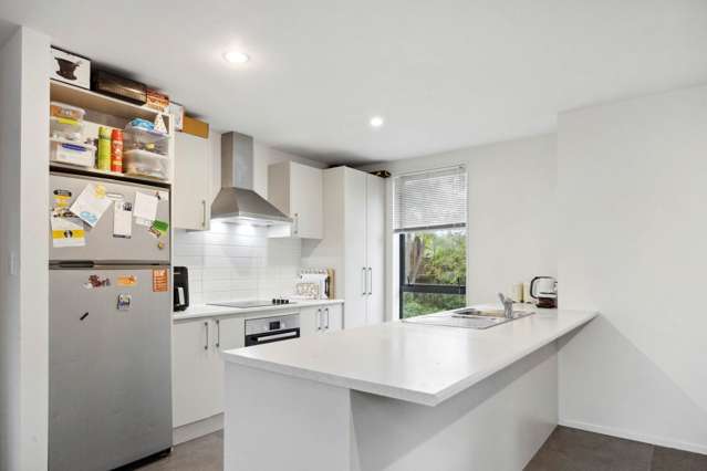 119A Lynwood Road New Lynn_4