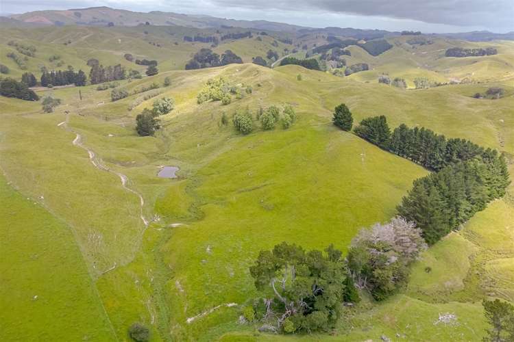 423 North Road Mauriceville Masterton Houses for Sale One Roof