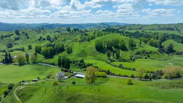 1163 Mangamako Road Ohingaiti_3