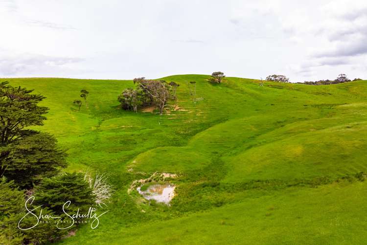 1509 Tinopai Road Tinopai_14