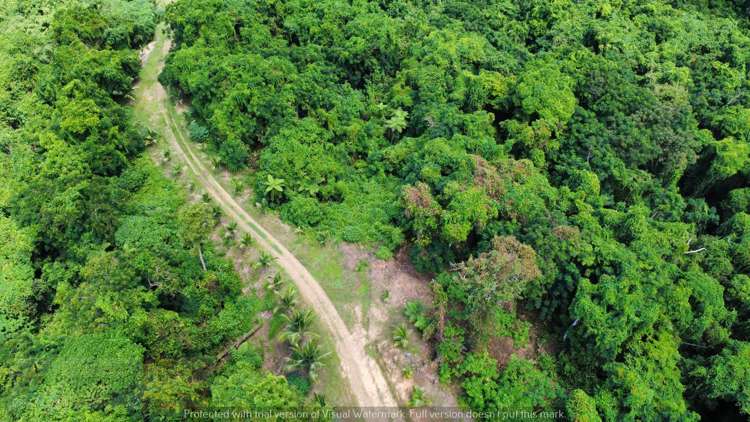 Address withheld Savusavu_9