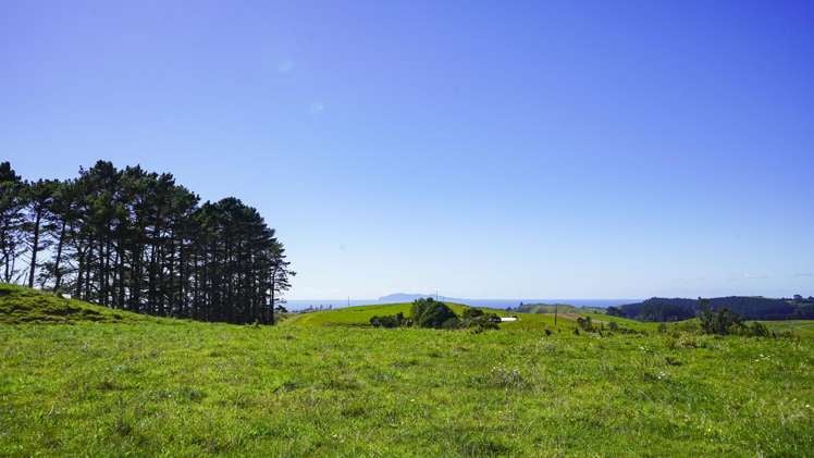 1158a Waihi-Whangamata Road Waihi_3