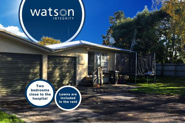 511a Featherston Street Roslyn_0