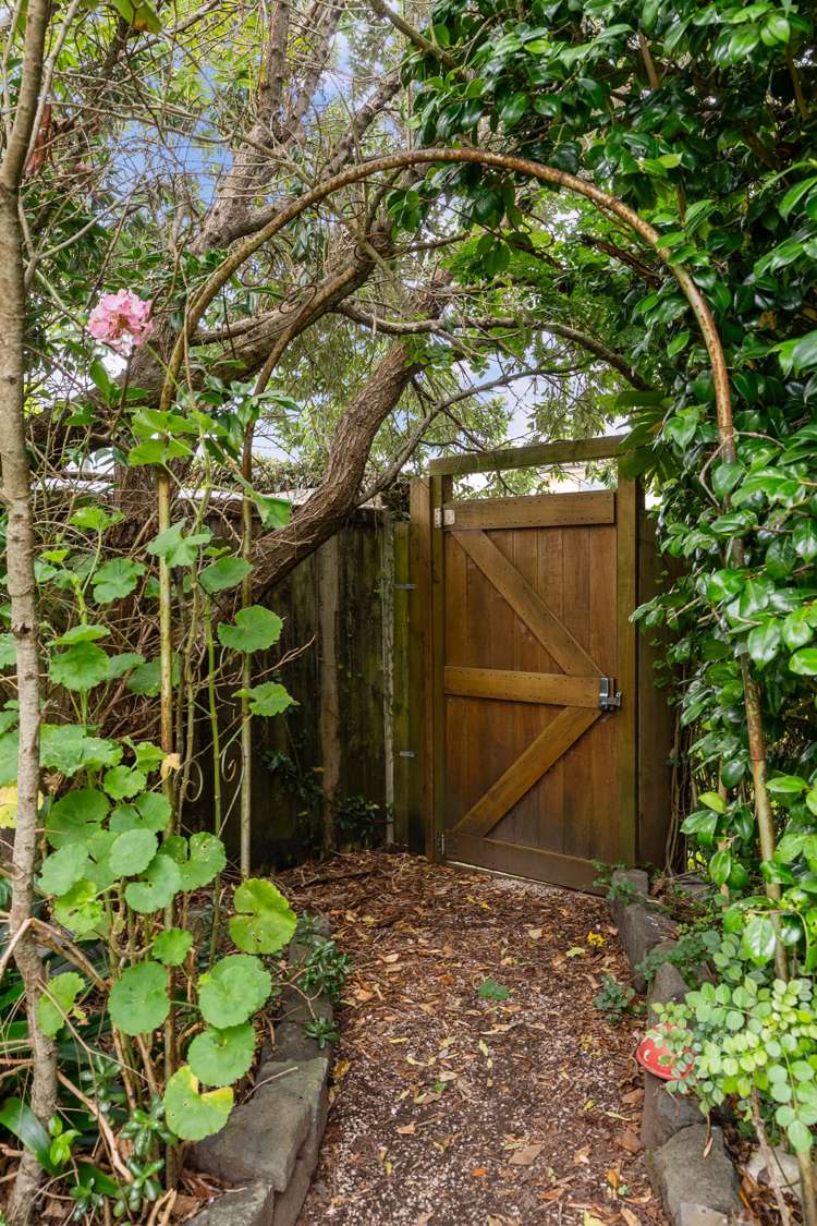 2/40 Speight Road Kohimarama_19