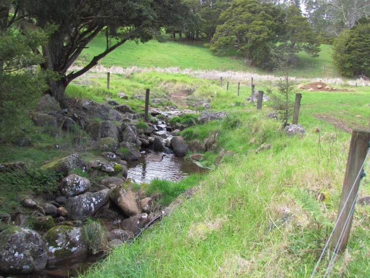 Tremain Road Ruatangata West_21